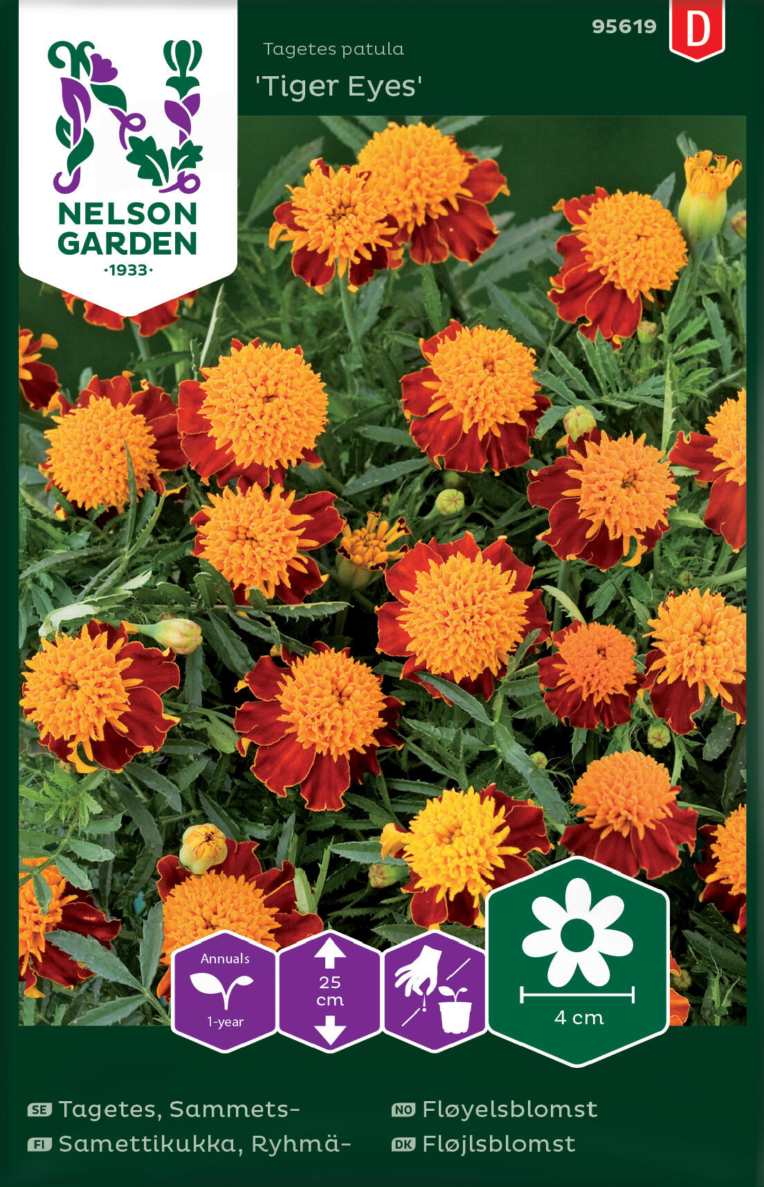 Sammetsblomma 'Tiger Eyes'